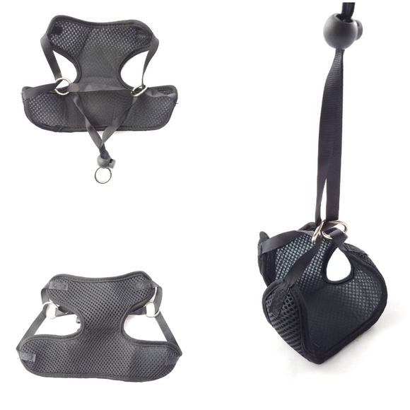 Retractable leash with free harness - Picture 4 of 4